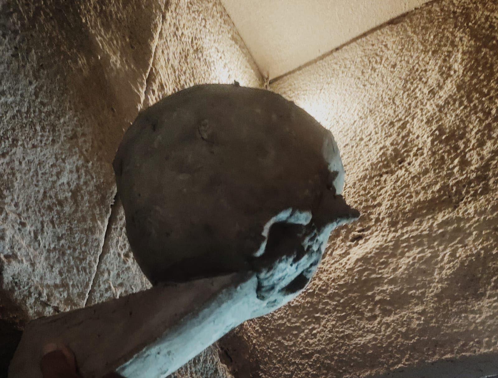 Seventh Park - Diversión 1